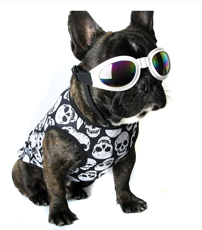 Fresco Dog Shirt | 100% Cotton, Skull Pattern 7