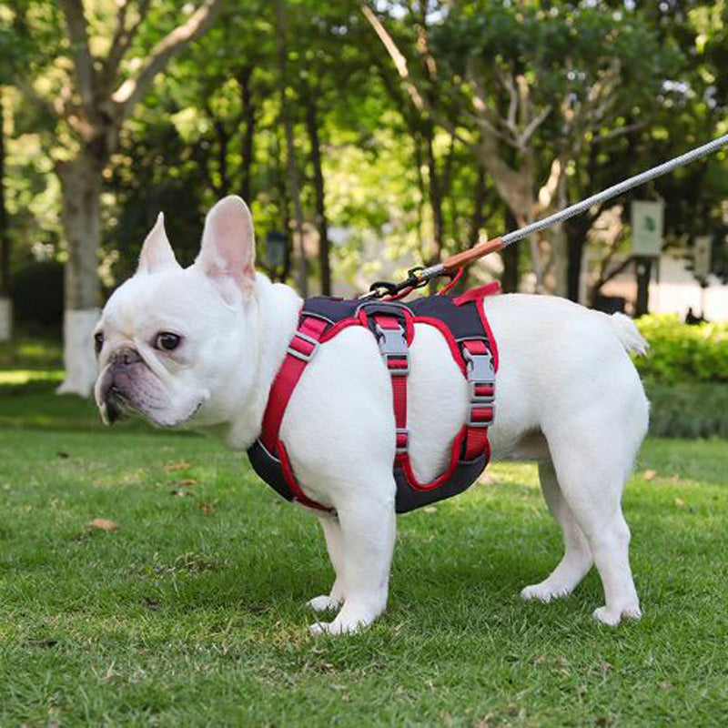 Frodo Dog Harness | No Pull, Reflective Safety Strap, Double Handle 0