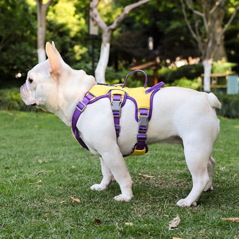 Frodo Dog Harness | No Pull, Reflective Safety Strap, Double Handle 1