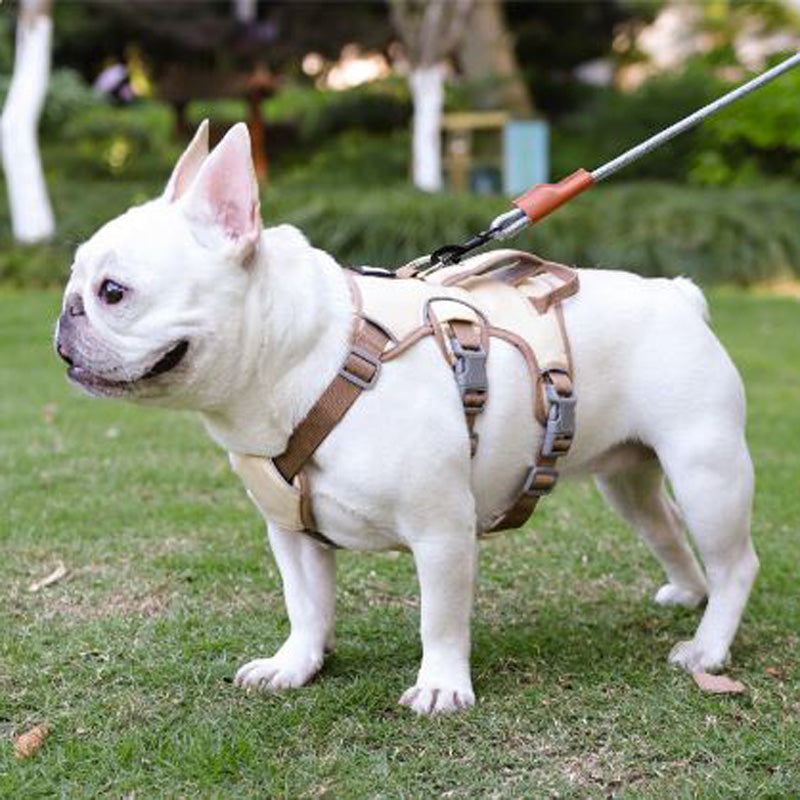 Frodo Dog Harness | No Pull, Reflective Safety Strap, Double Handle 2