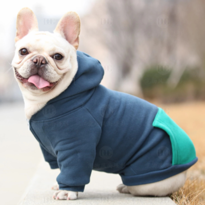 Frodo Dog Hoodie | Cozy Cotton, Tailored Fit for French Bulldogs 0
