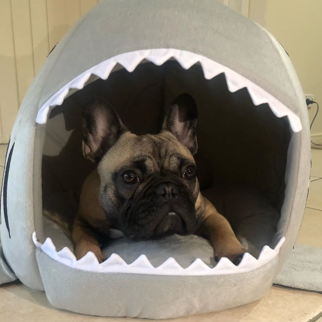 Frodo Shark Dog Bed | Cozy Cave for Small Breeds, Self-Warming Interior 4