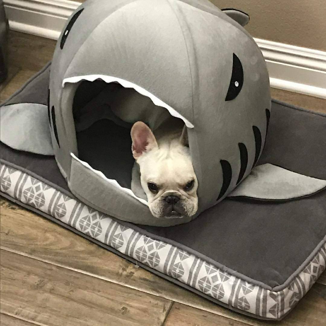 Frodo Shark Dog Bed | Cozy Cave for Small Breeds, Self-Warming Interior 7
