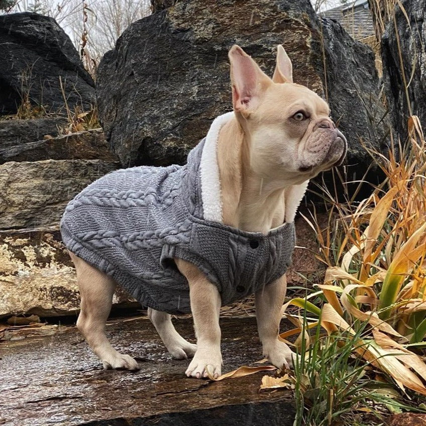 Gizmo Small Dog Sweater | 100% Cotton, Cozy Winter Wear 0