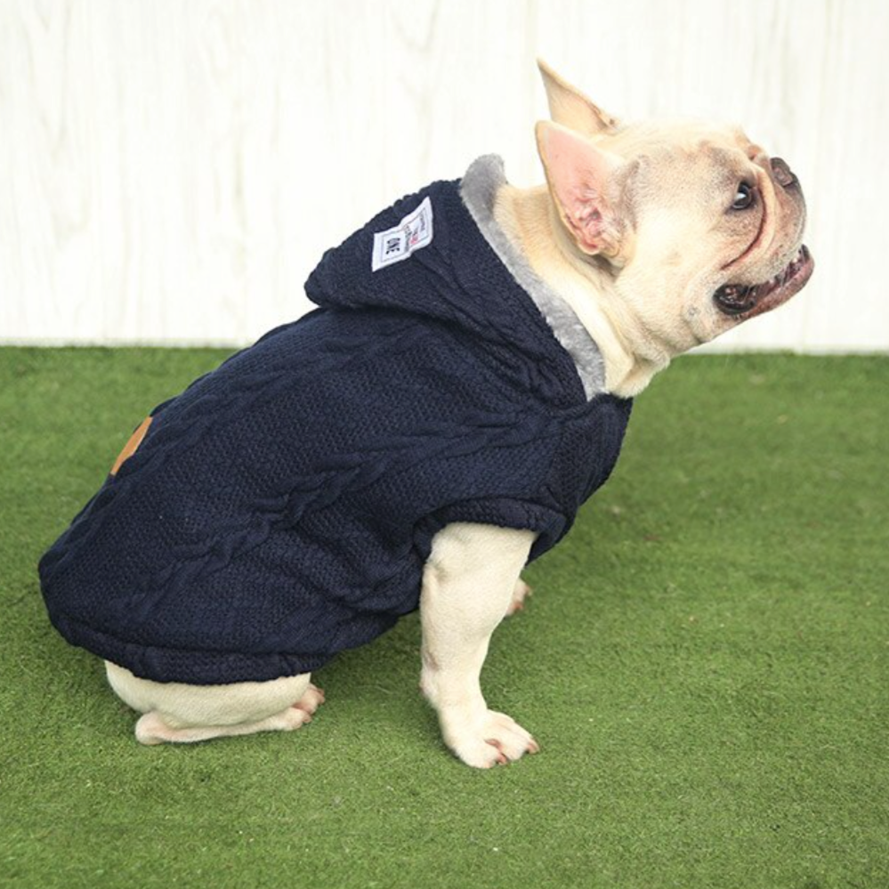 Gizmo Small Dog Sweater | 100% Cotton, Cozy Winter Wear 2