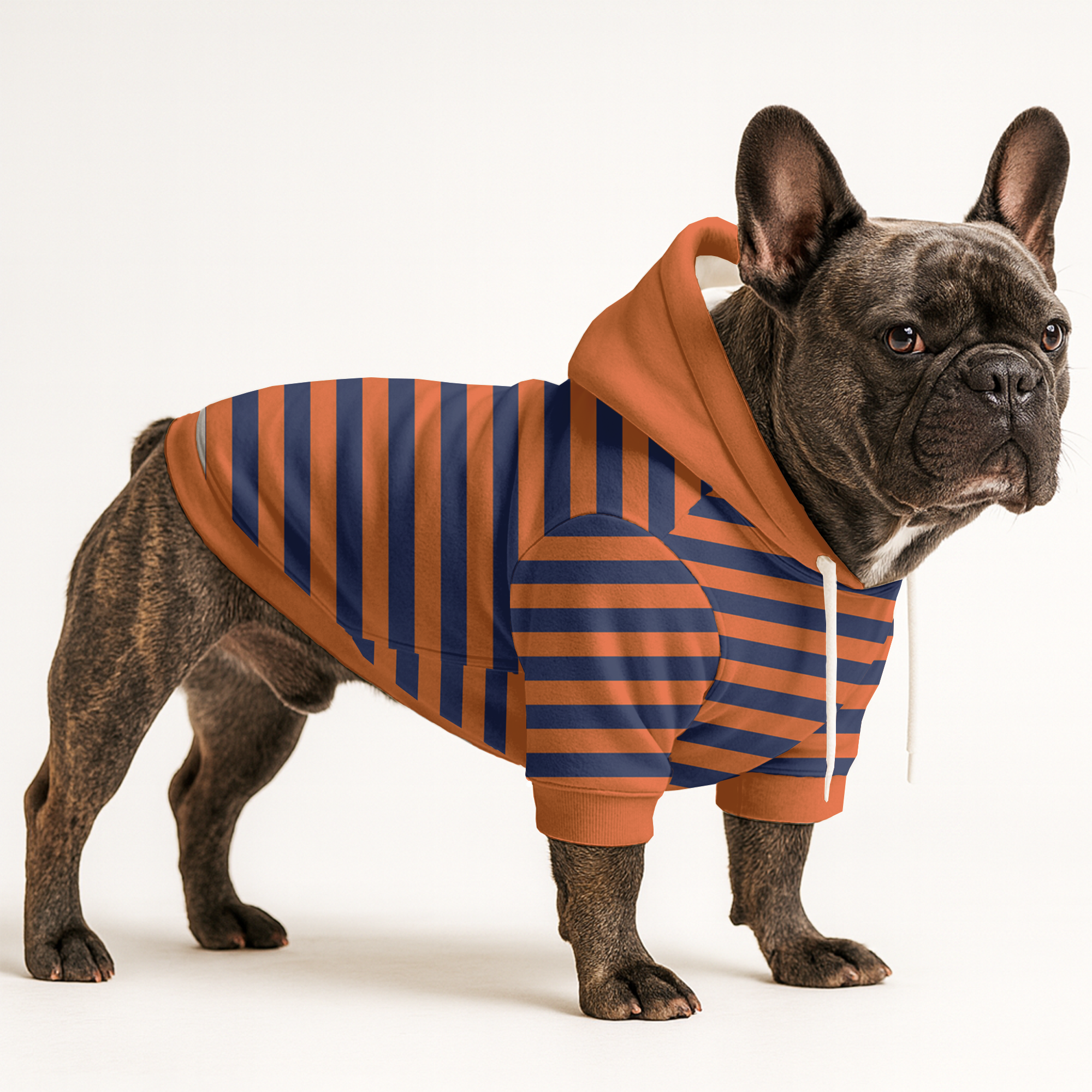 Jade Matching Dog and Owner Hoodies | 100% Cotton, Cozy for French Bulldogs 1