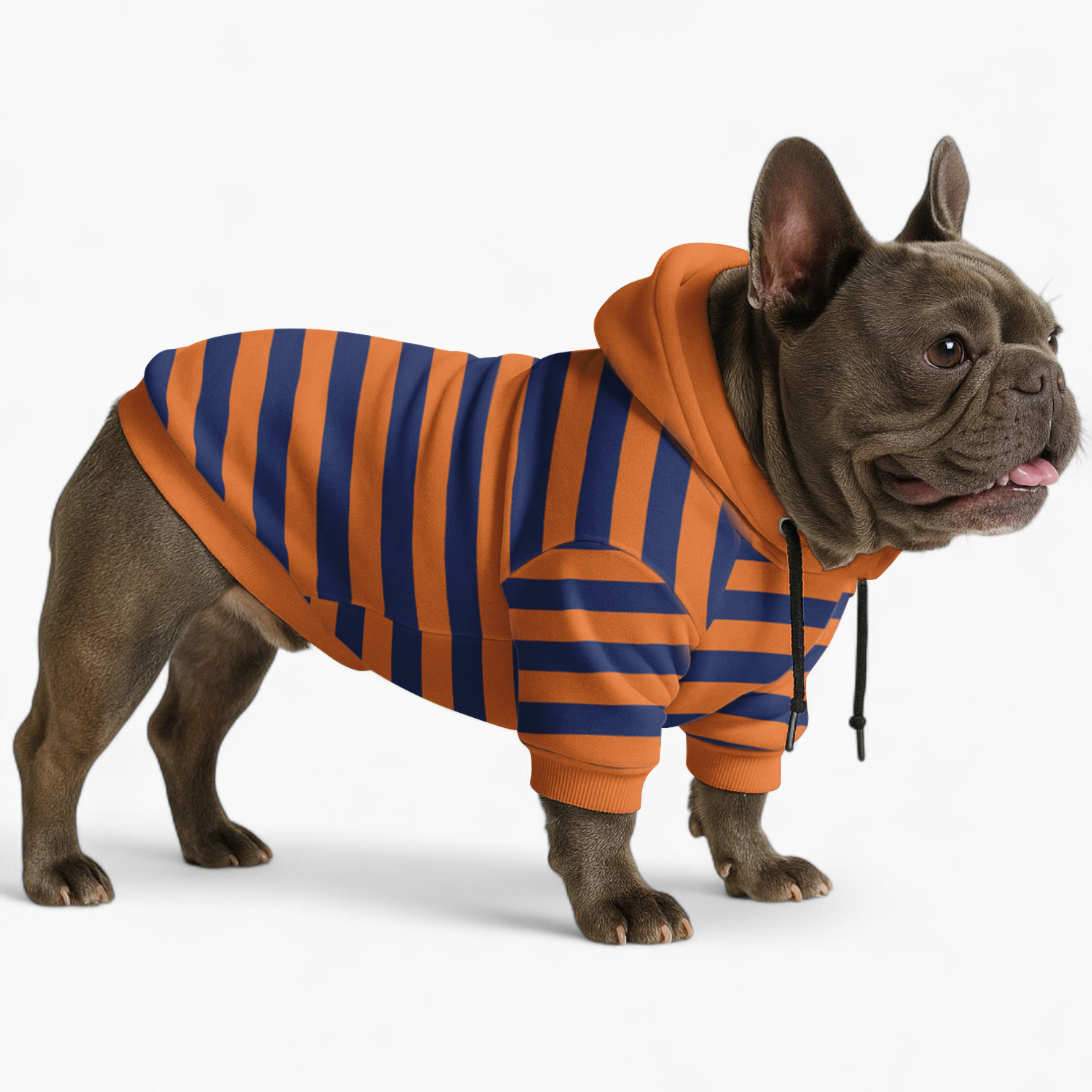 Jade Matching Dog and Owner Hoodies | 100% Cotton, Cozy for French Bulldogs 2