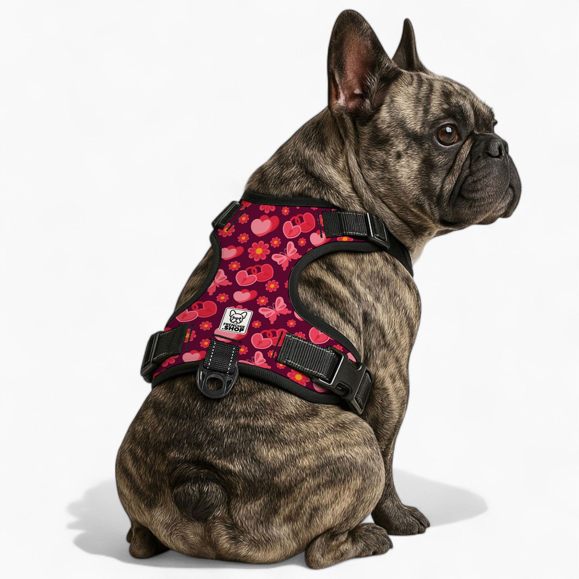 Jasper Dog Harness | No-Pull, Adjustable Fit for French Bulldogs 0