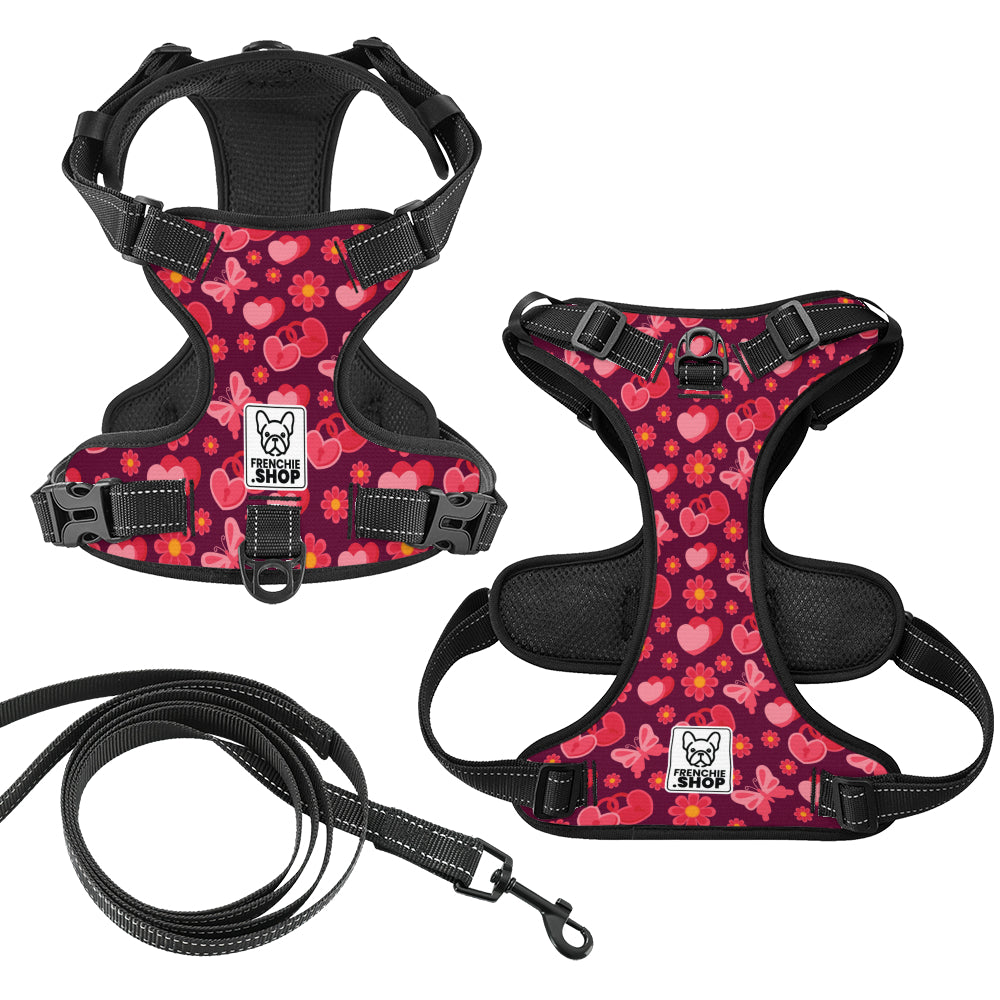 Jasper Dog Harness | No-Pull, Adjustable Fit for French Bulldogs 3