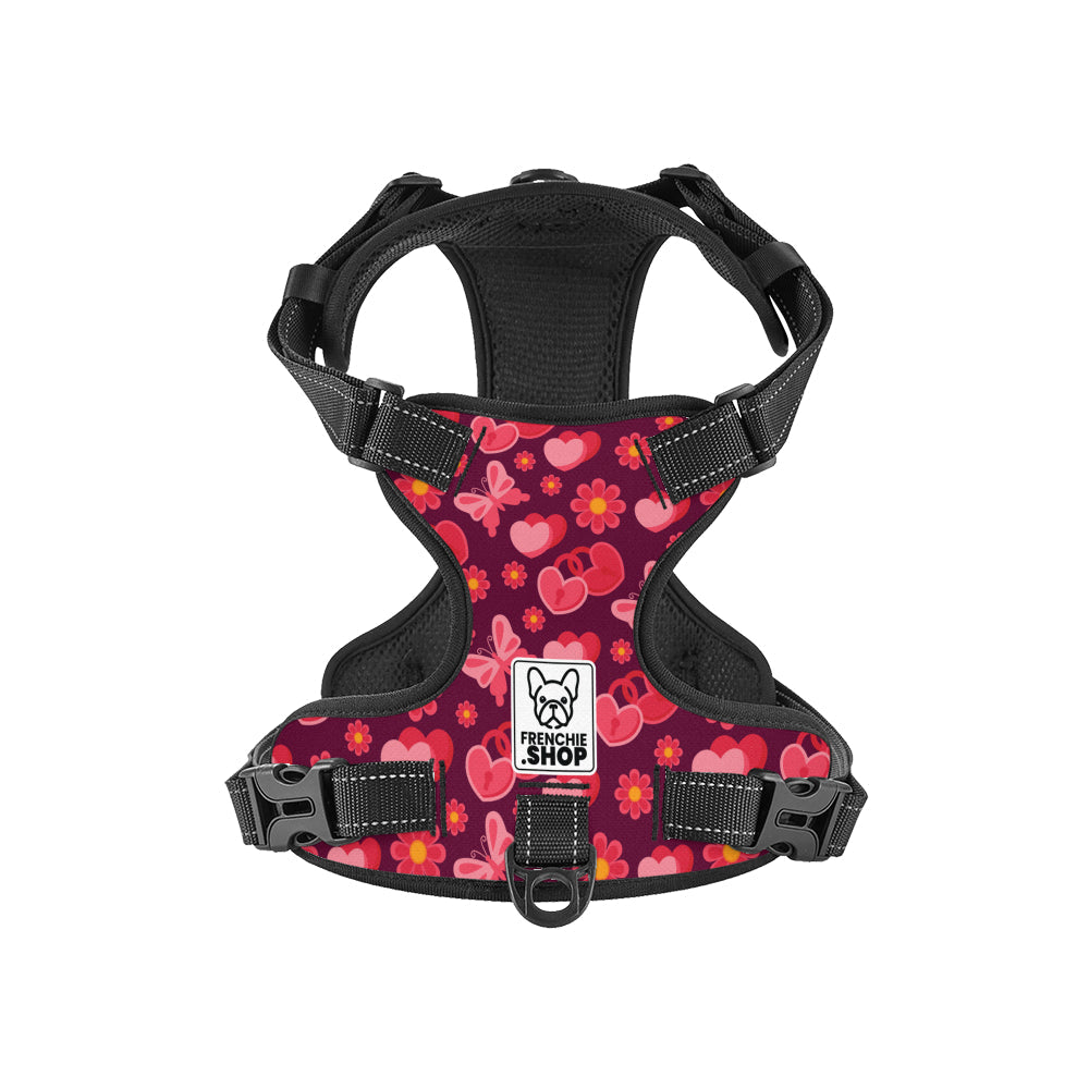 Jasper Dog Harness | No-Pull, Adjustable Fit for French Bulldogs 4