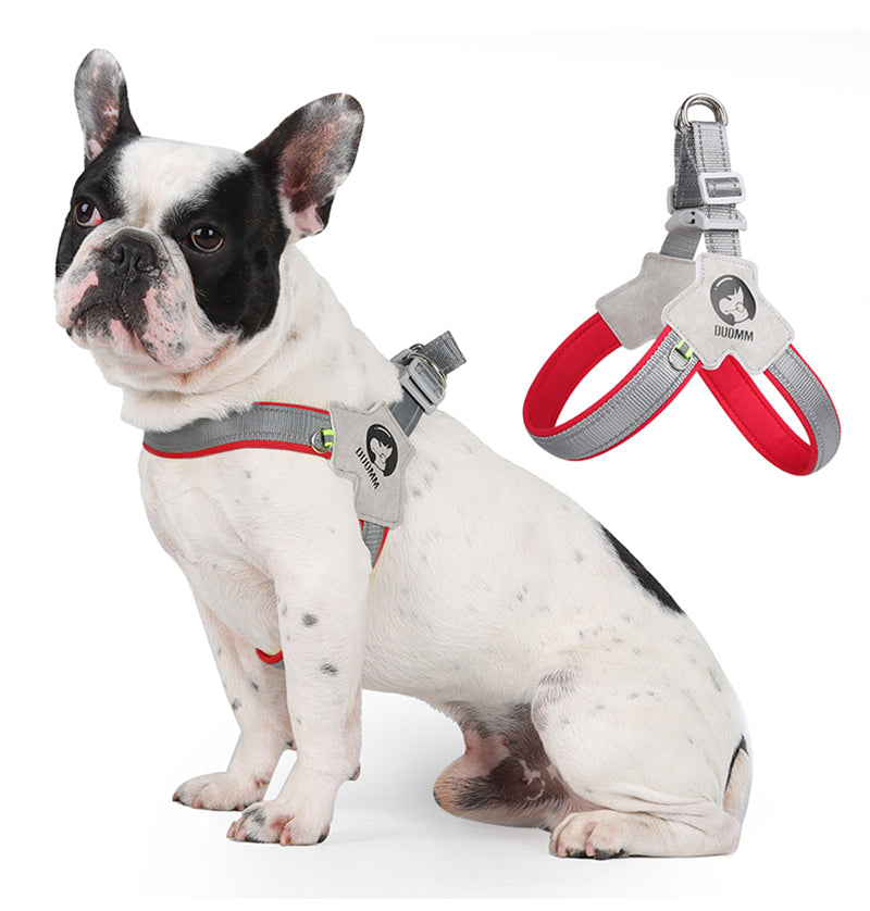 Lumi Dog Harness | No-Pull, Reflective Design for French Bulldogs 5
