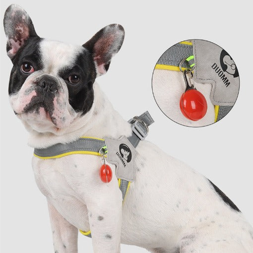 Lumi Dog Harness | No-Pull, Reflective Design for French Bulldogs 6