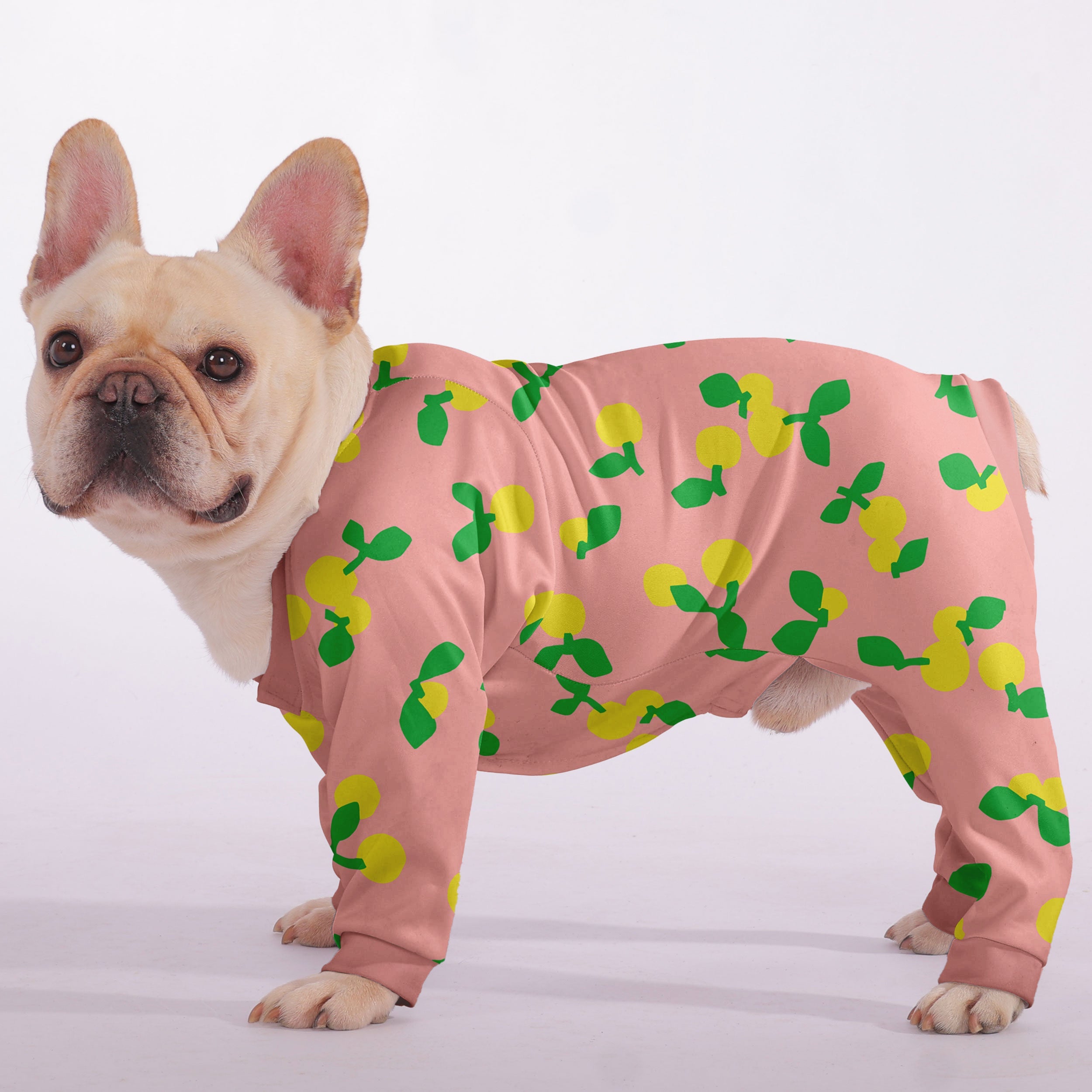 Luna Dog Pajamas | Soft, Breathable Fabric for Cozy Comfort 1
