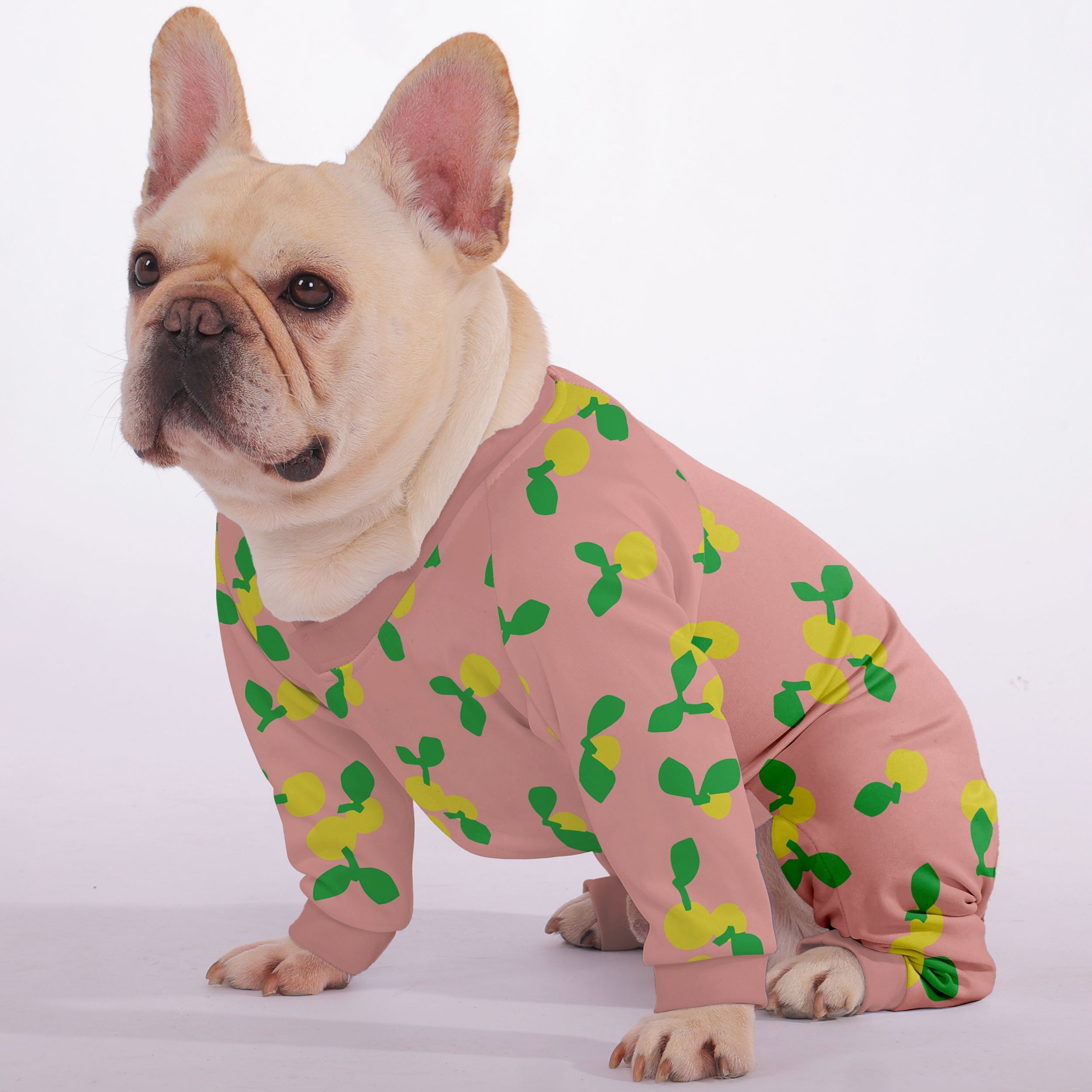 Luna Dog Pajamas | Soft, Breathable Fabric for Cozy Comfort 2