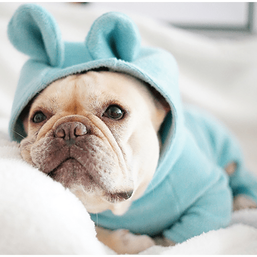 Nora Frenchie Hoodie | Cozy Fleece with Bear Ears 5