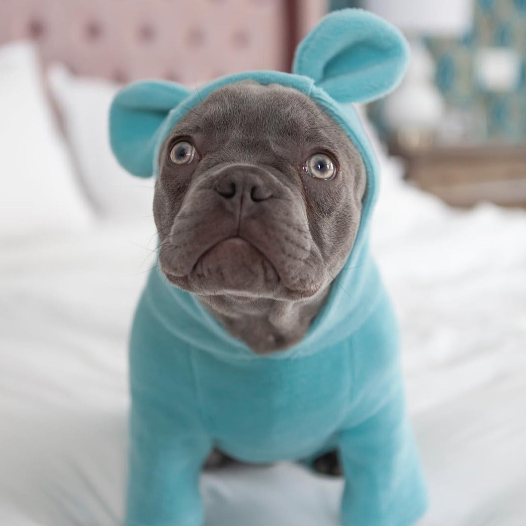 Nora Frenchie Hoodie | Cozy Fleece with Bear Ears 6