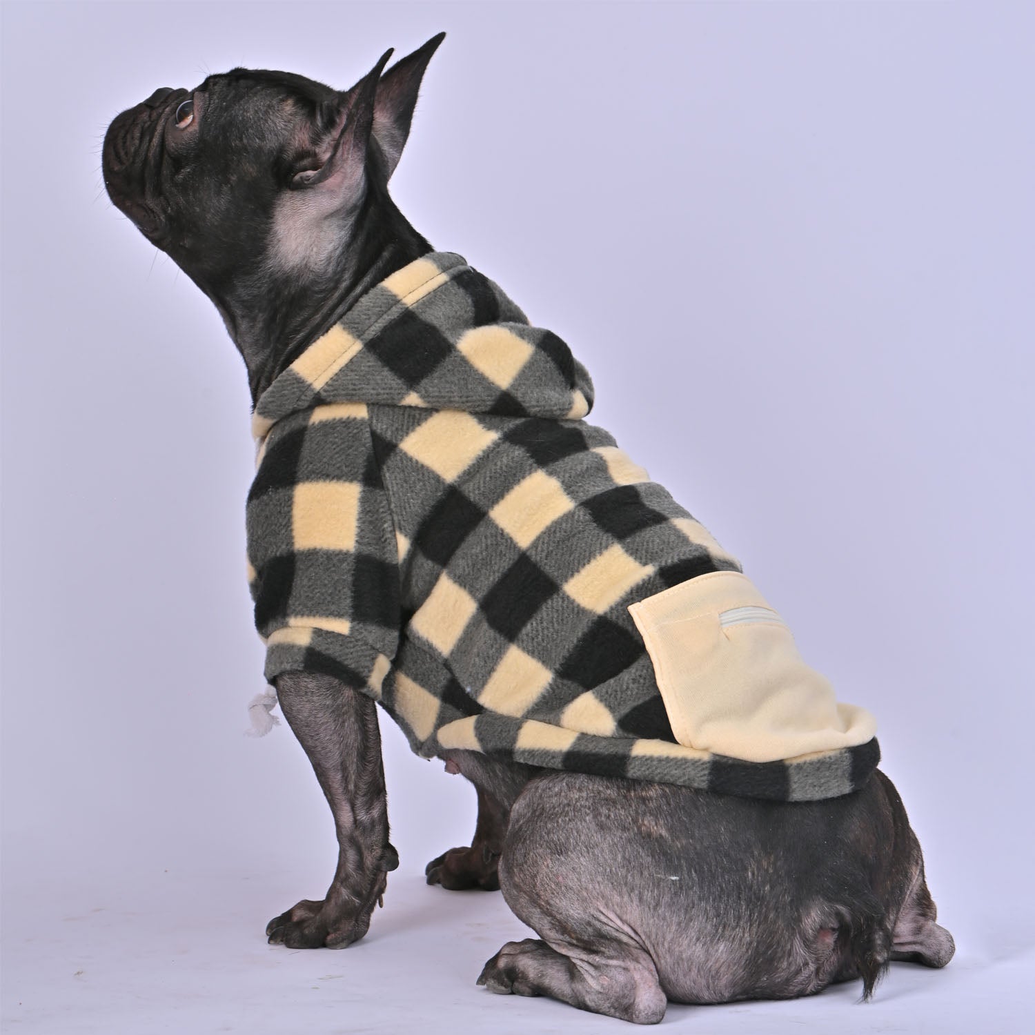 Pawfect Dog Hoodie | Plaid Design, Fleece Lined for Warmth 0