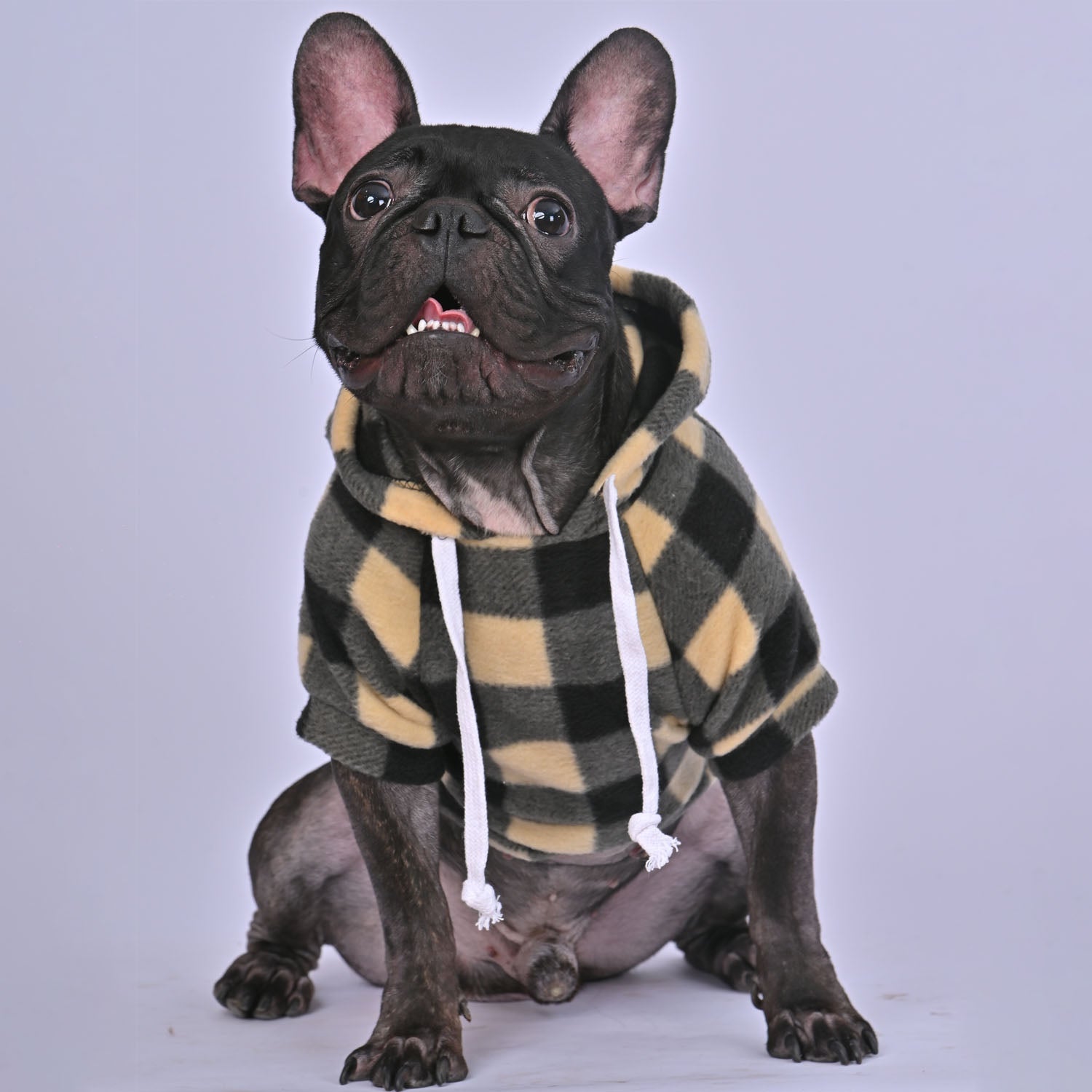 Pawfect Dog Hoodie | Plaid Design, Fleece Lined for Warmth 1