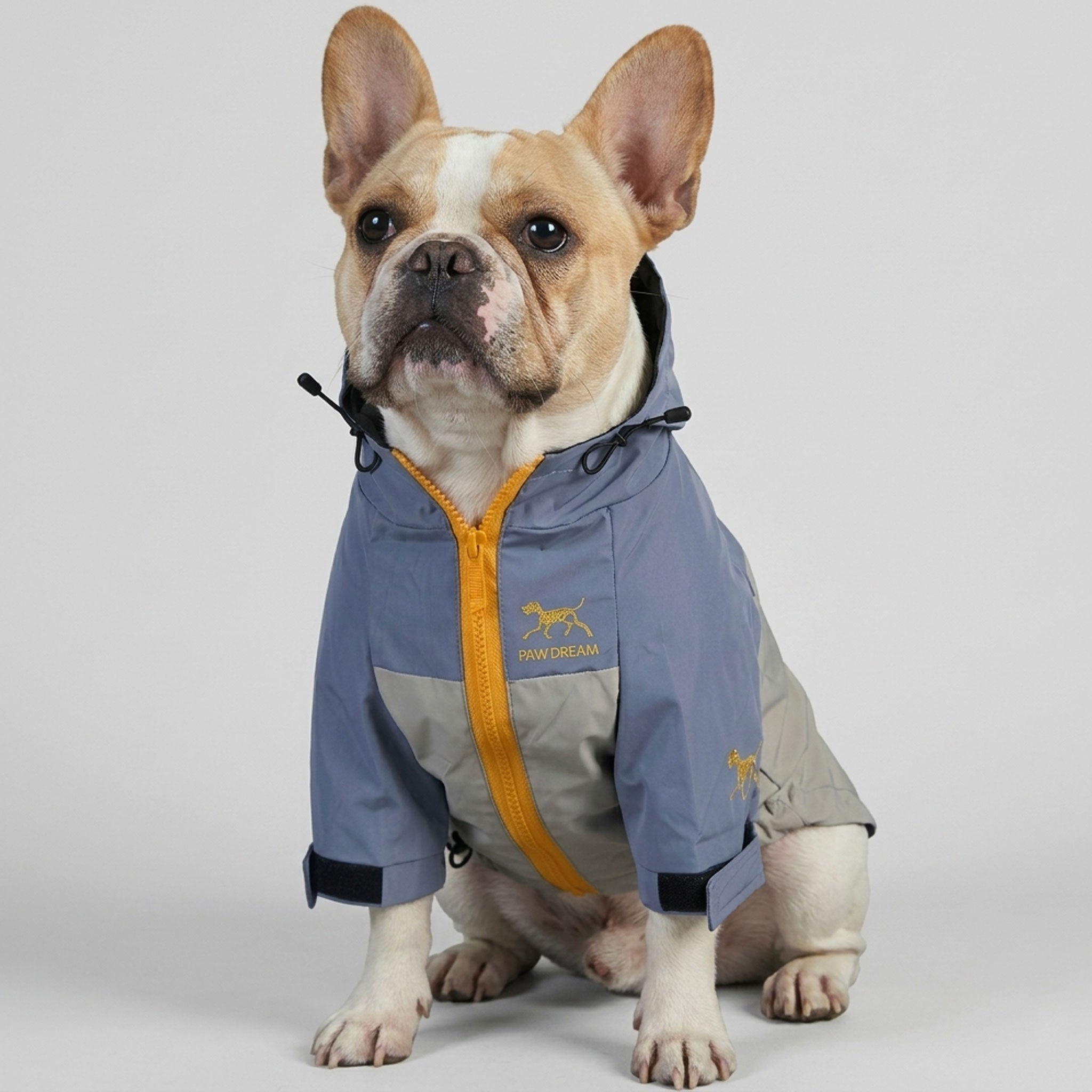 Sparky Dog Raincoat | Waterproof, Windproof Jacket for French Bulldogs 1