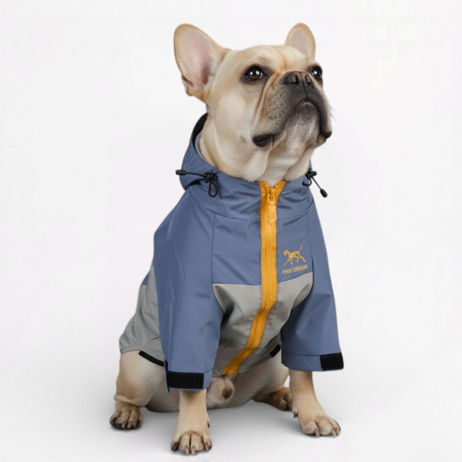 Sparky Dog Raincoat | Waterproof, Windproof Jacket for French Bulldogs 2