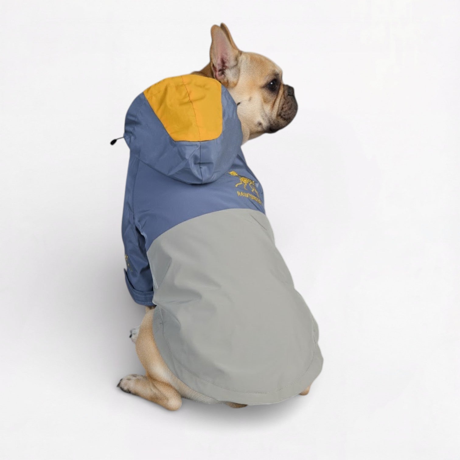 Sparky Dog Raincoat | Waterproof, Windproof Jacket for French Bulldogs 4