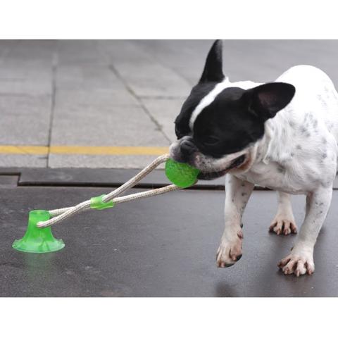 Suction Frenchie TugToy | Bite-Resistant, Engaging Play for Aggressive Chewers 2