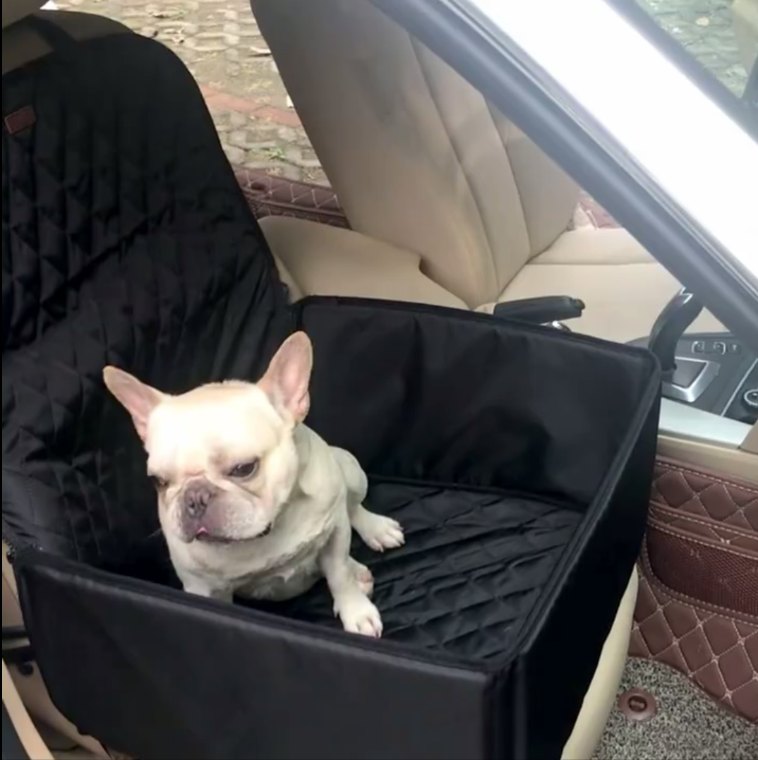 Waggy Car Seat Protector | Waterproof, Heavy-Duty Dog Seat Cover 0