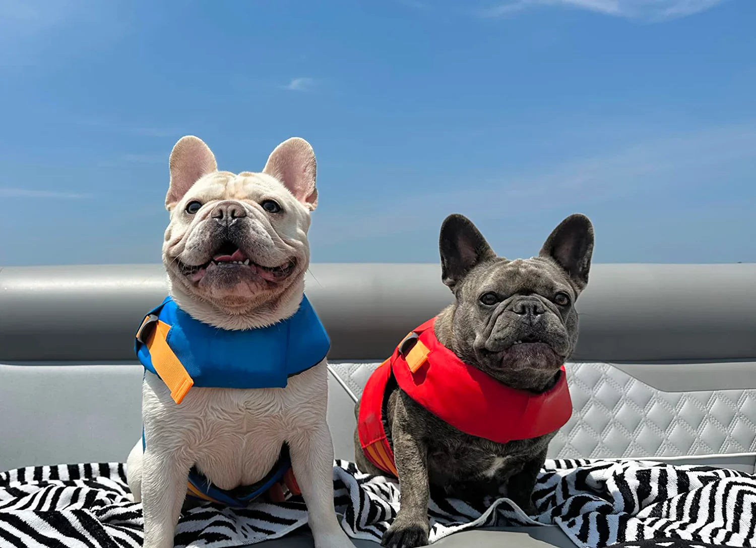 Best French Bulldog Life Jacket – Reviews and Buying Guide
