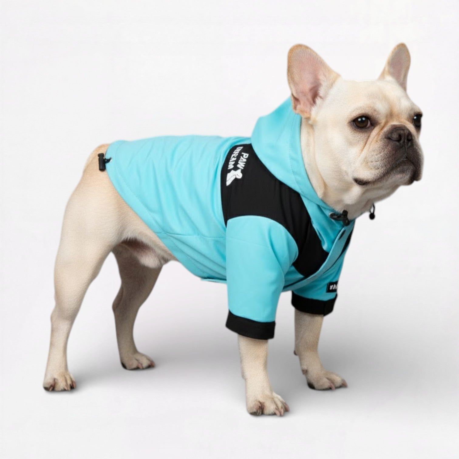 AquaPaw Dog Raincoat | Waterproof, Windproof Jacket for French Bulldogs 1