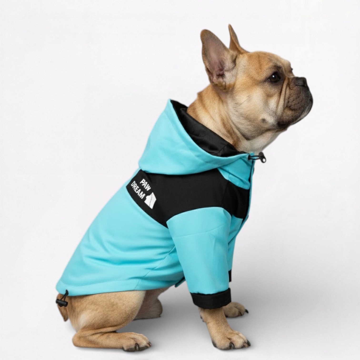 AquaPaw Dog Raincoat | Waterproof, Windproof Jacket for French Bulldogs 2