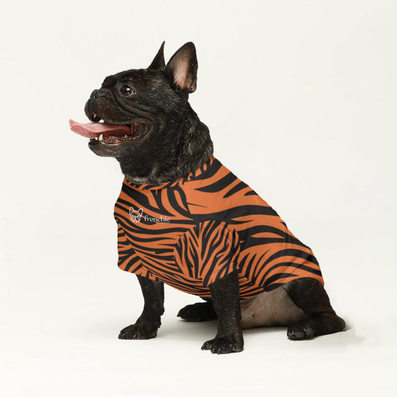Axel Dog Sweater | High-Quality Wool, Tailored Fit for French Bulldogs 3