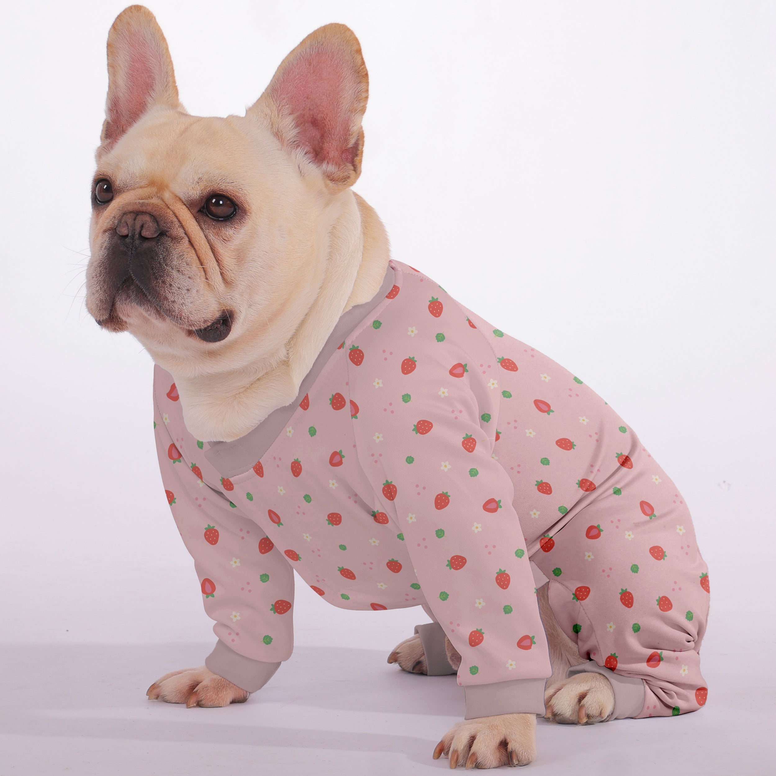 Bella Dog Pajamas | Soft, Breathable Fabric for Comfort 2