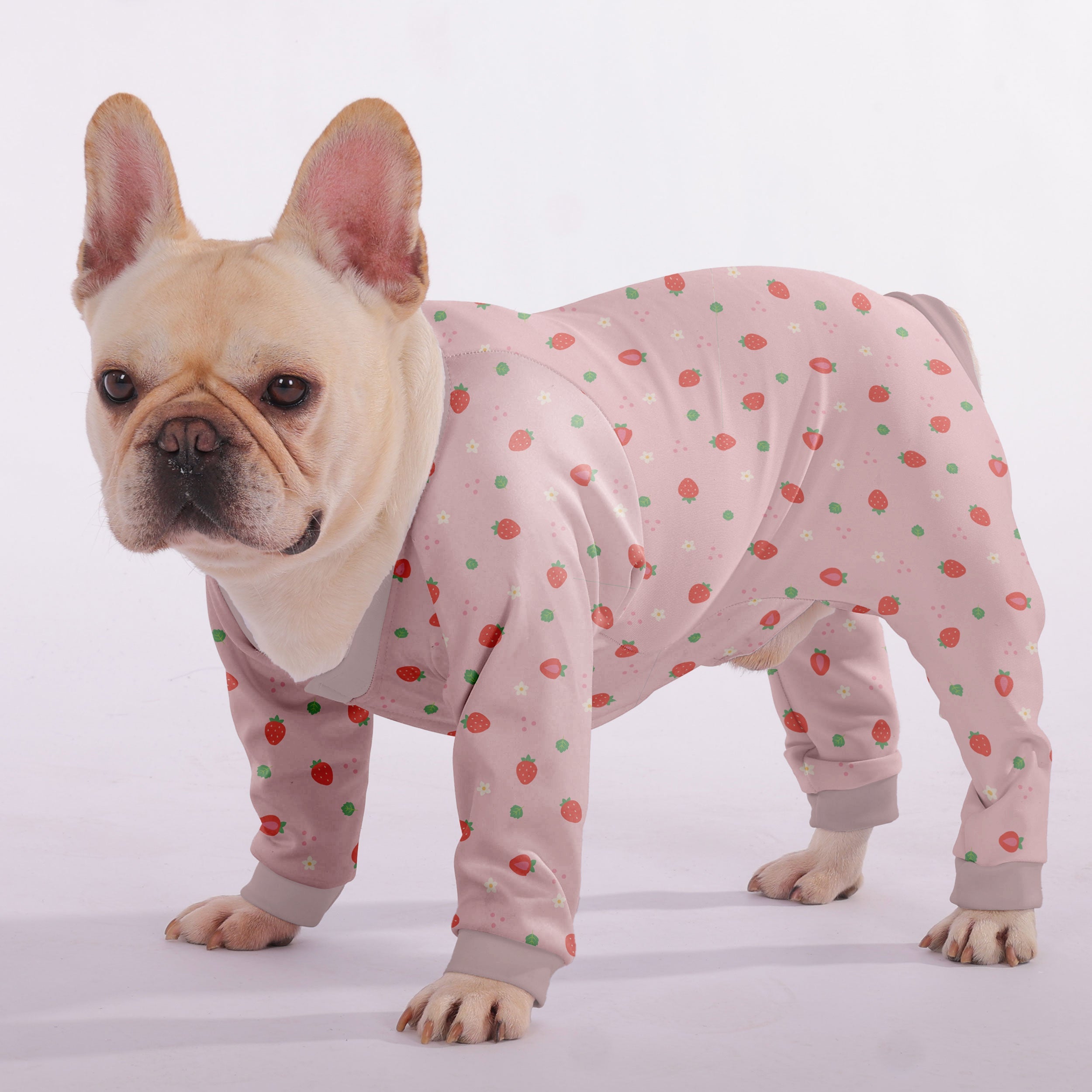 Bella Dog Pajamas | Soft, Breathable Fabric for Comfort 3