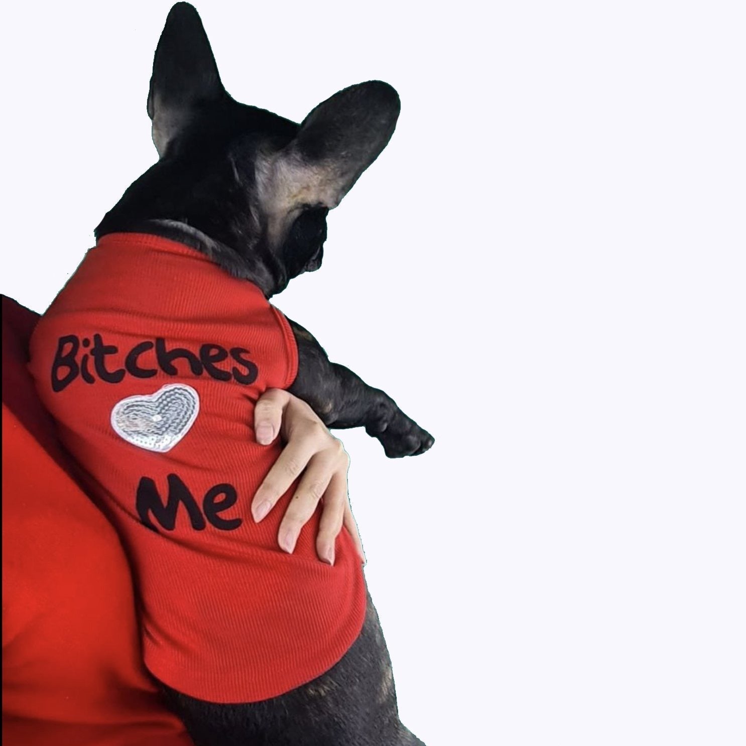 Bobby Custom Dog T-Shirt | 65% Cotton, Summer Style 1