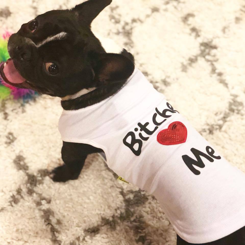 Bobby Custom Dog T-Shirt | 65% Cotton, Summer Style 4