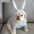 Bunny Frenchie Hoodie | Soft Cotton, Double-Layer Design 0