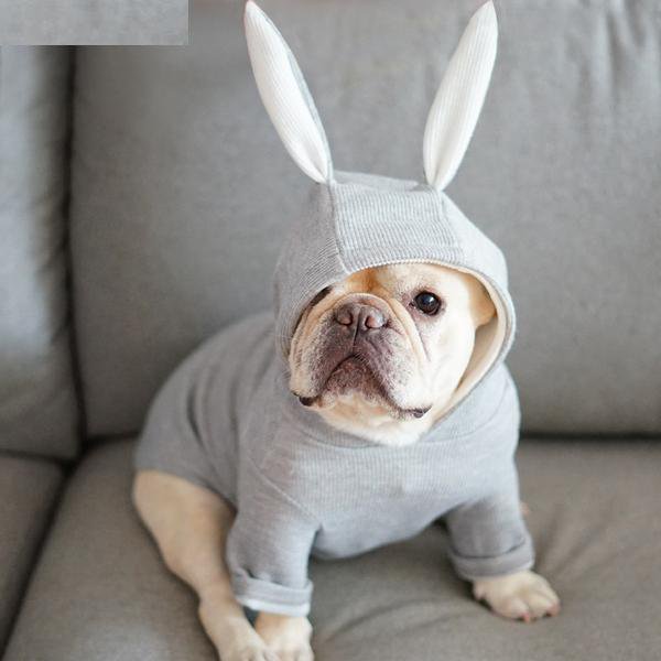 Bunny Frenchie Hoodie | Soft Cotton, Double-Layer Design 0