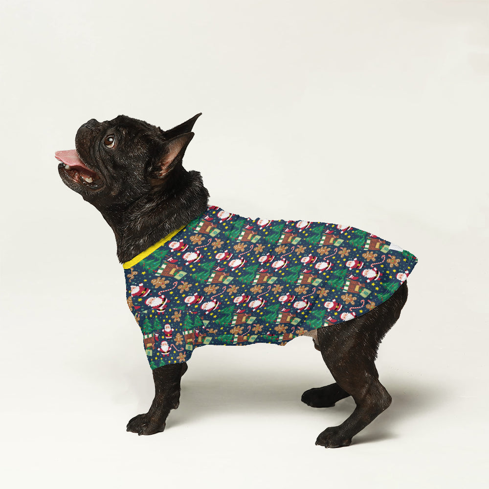 Buzzy Dog Sweater | Premium Wool, Tailored Fit for French Bulldogs 2