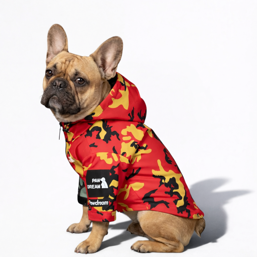 CamoFren Frenchie Raincoat | Waterproof Dog Jacket with Adjustable Fit 4
