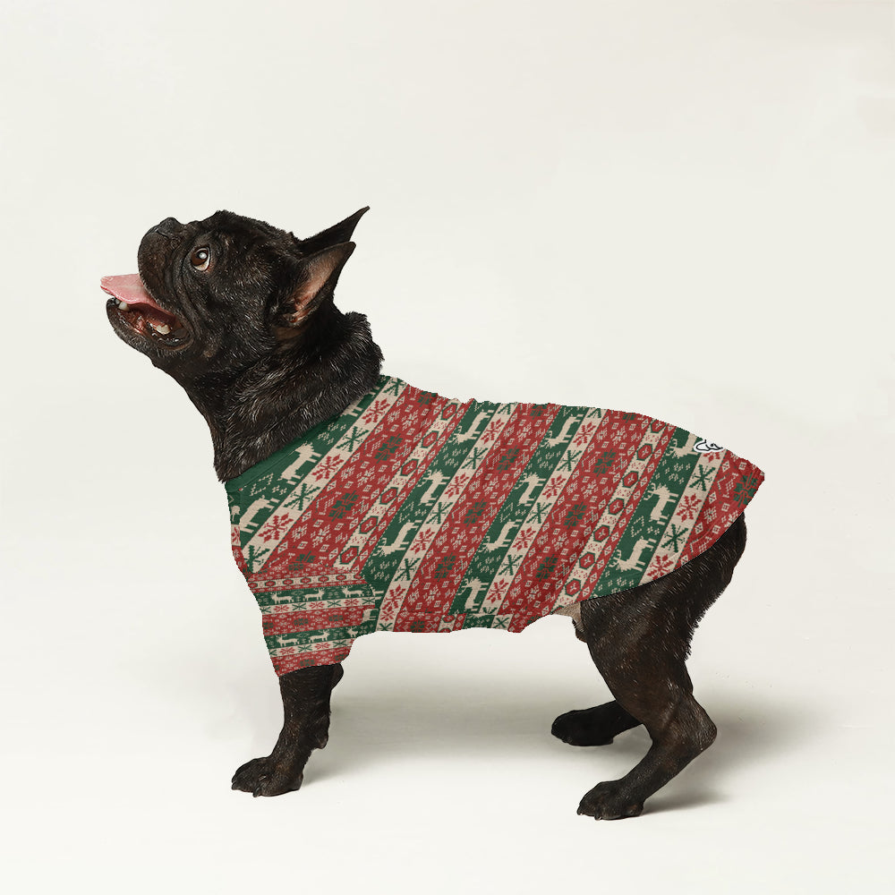 Cleo Dog Sweater | High-Quality Wool, Cozy Fit for French Bulldogs 2