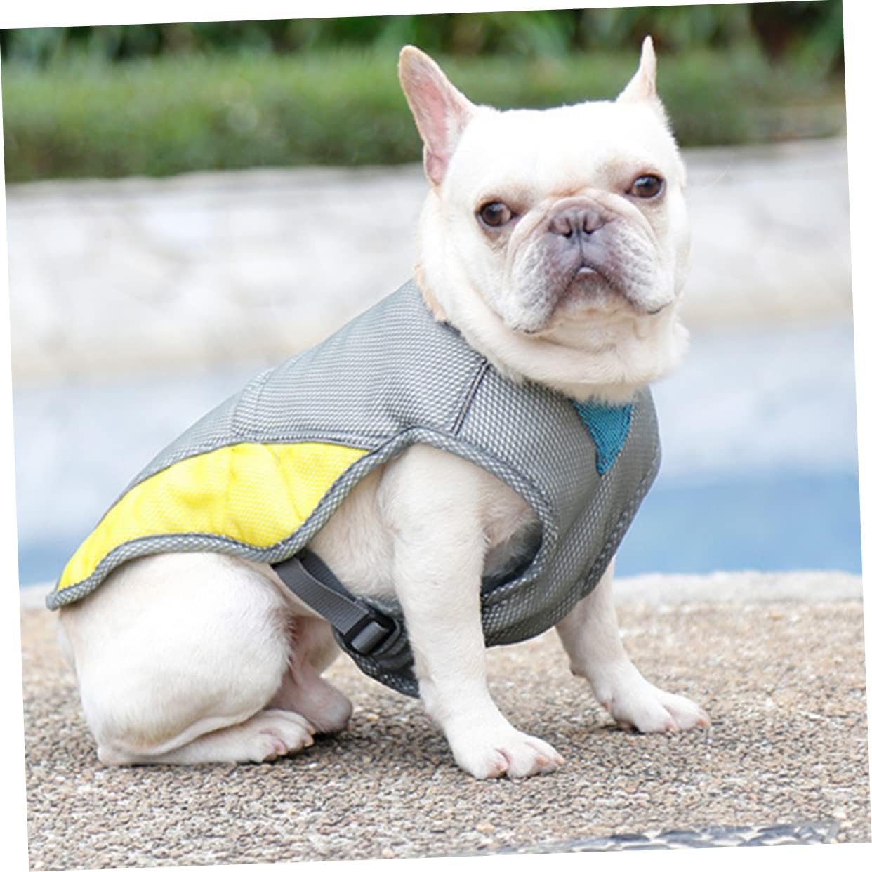 Coco Dog Cooling Vest | Three-Layer, Evaporative Design for Hot Weather 3