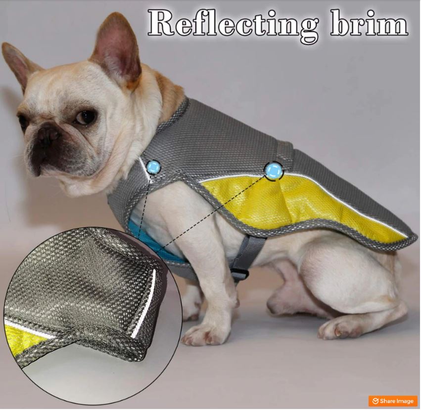 Coco Dog Cooling Vest | Three-Layer, Evaporative Design for Hot Weather 6