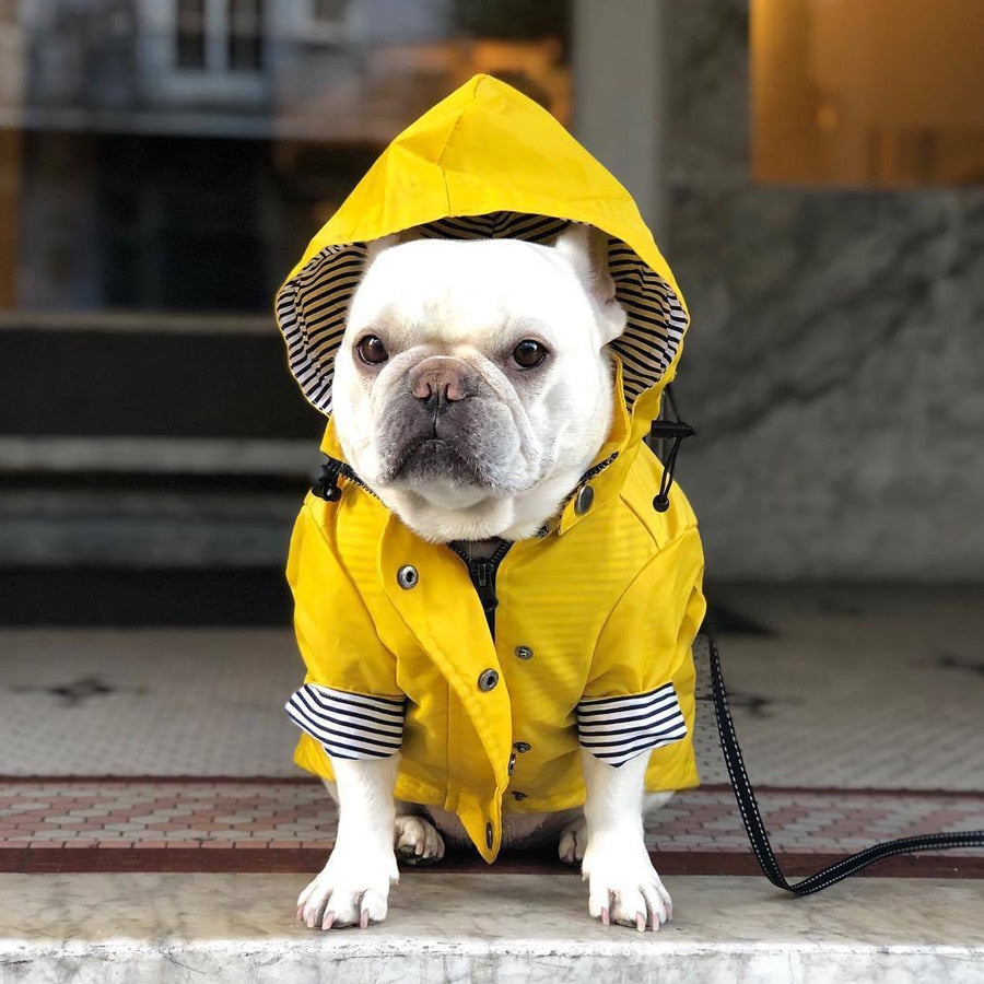 Coco Dog Raincoat | Waterproof, Stylish Design for Bulldogs 0