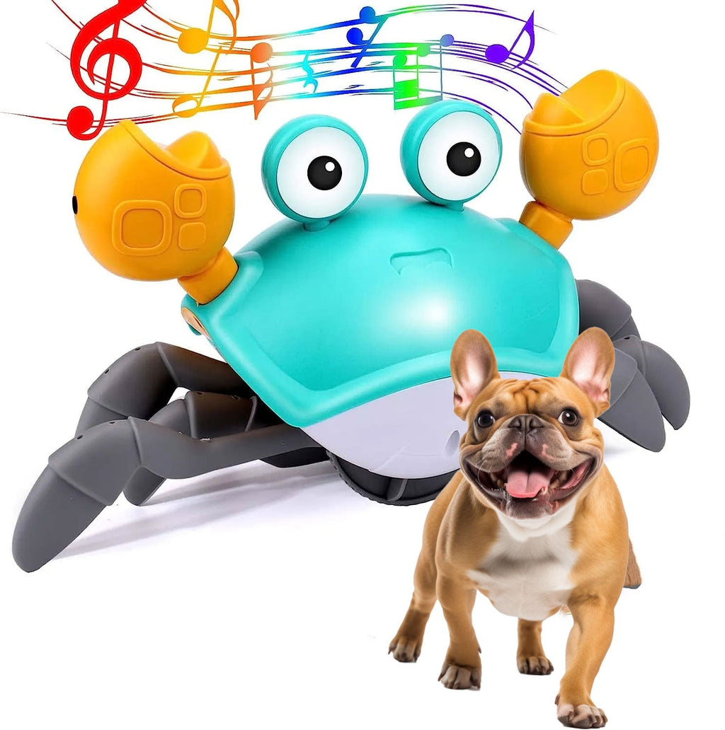 Crispy Crab Dog Toy | Interactive Motion Sensor, Durable TPR & ABS 0