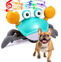 Crispy Crab Dog Toy | Interactive Motion Sensor, Durable TPR & ABS 0