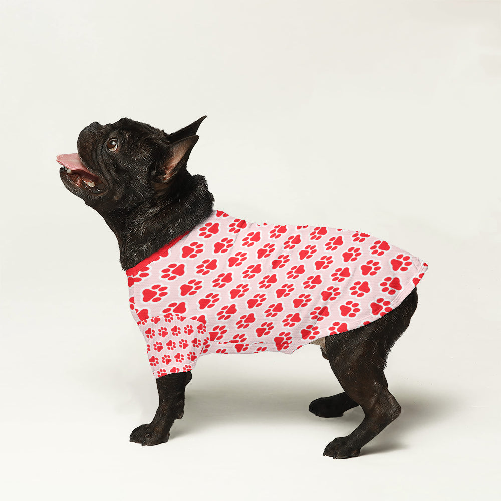 Dante Dog Sweater | High-Quality Wool, Cozy Fit for French Bulldogs 0