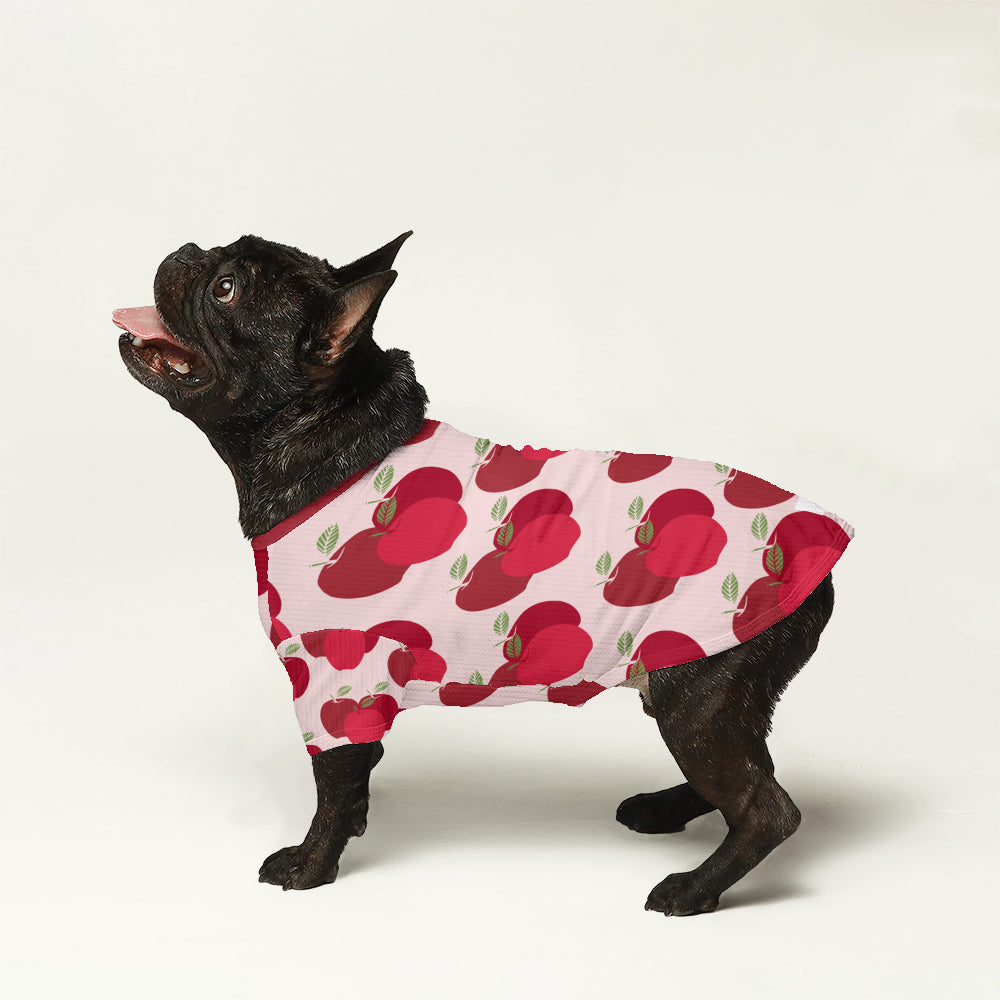 Dapper Dog Sweater | Cozy Wool, Tailored Fit for French Bulldogs 1