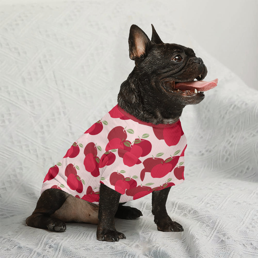 Dapper Dog Sweater | Cozy Wool, Tailored Fit for French Bulldogs 3