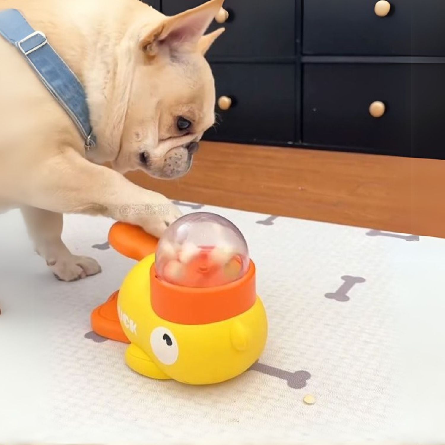 Ducky Dog Puzzle Toy | Interactive Slow Feeder, Premium ABS for Small Breeds 0
