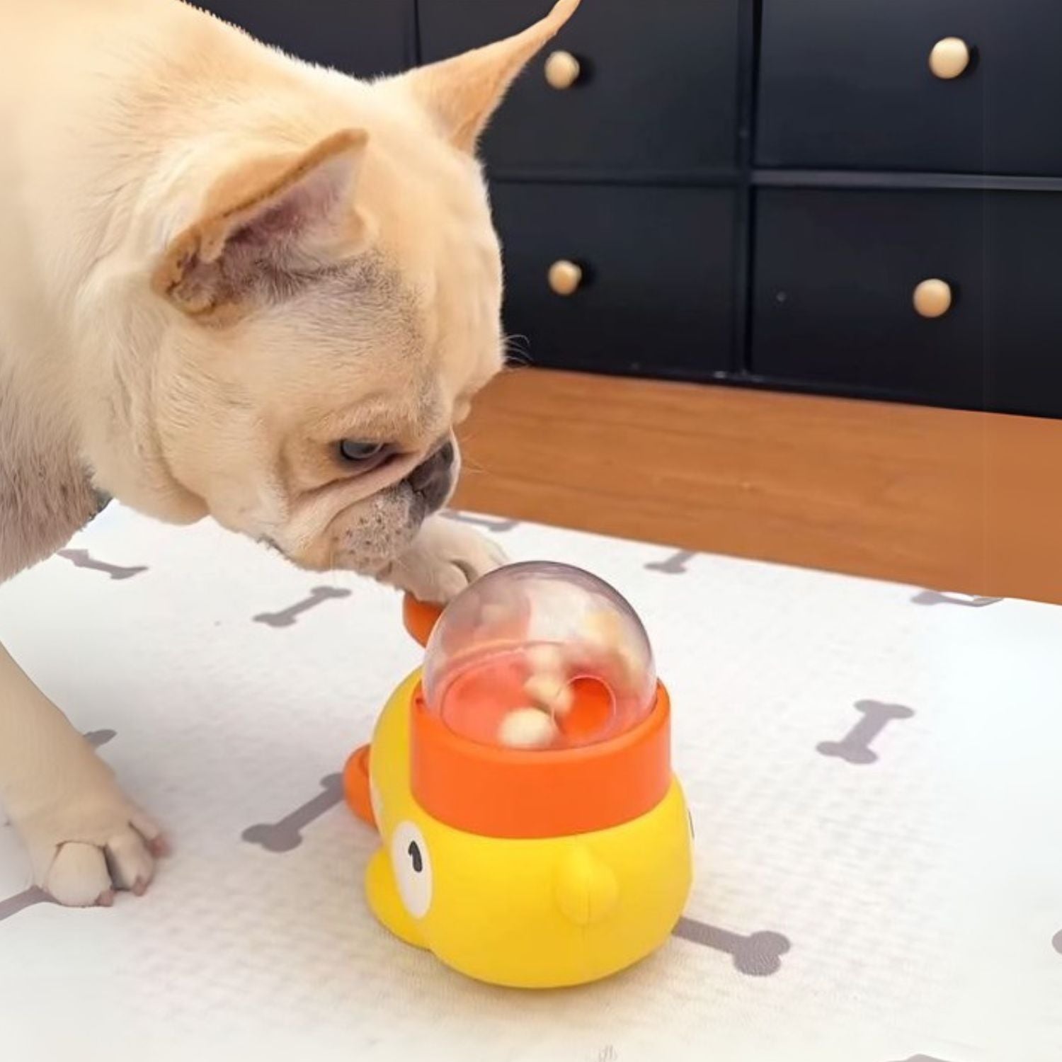 Ducky Dog Puzzle Toy | Interactive Slow Feeder, Premium ABS for Small Breeds 3